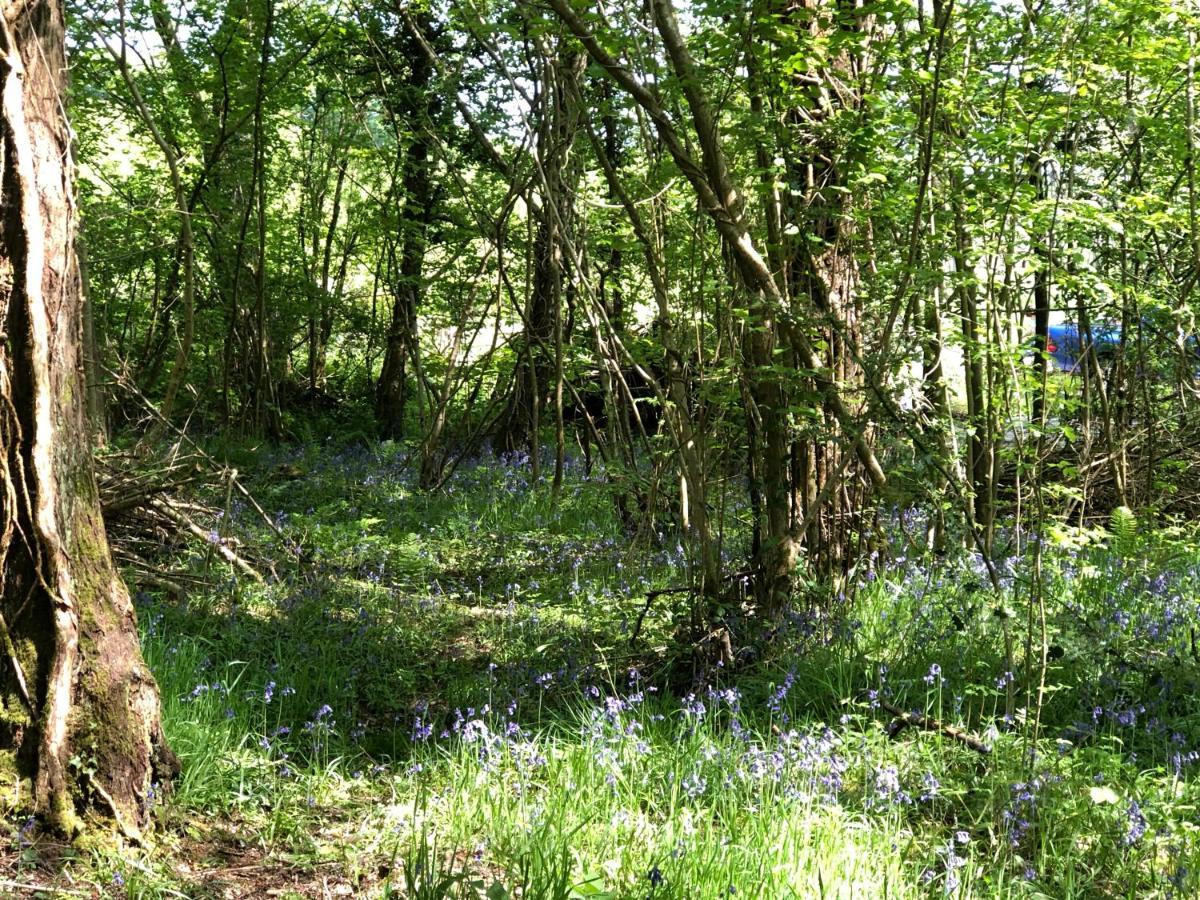 Willa Coed Y Marchog Woodland Retreat Hereford Zewnętrze zdjęcie