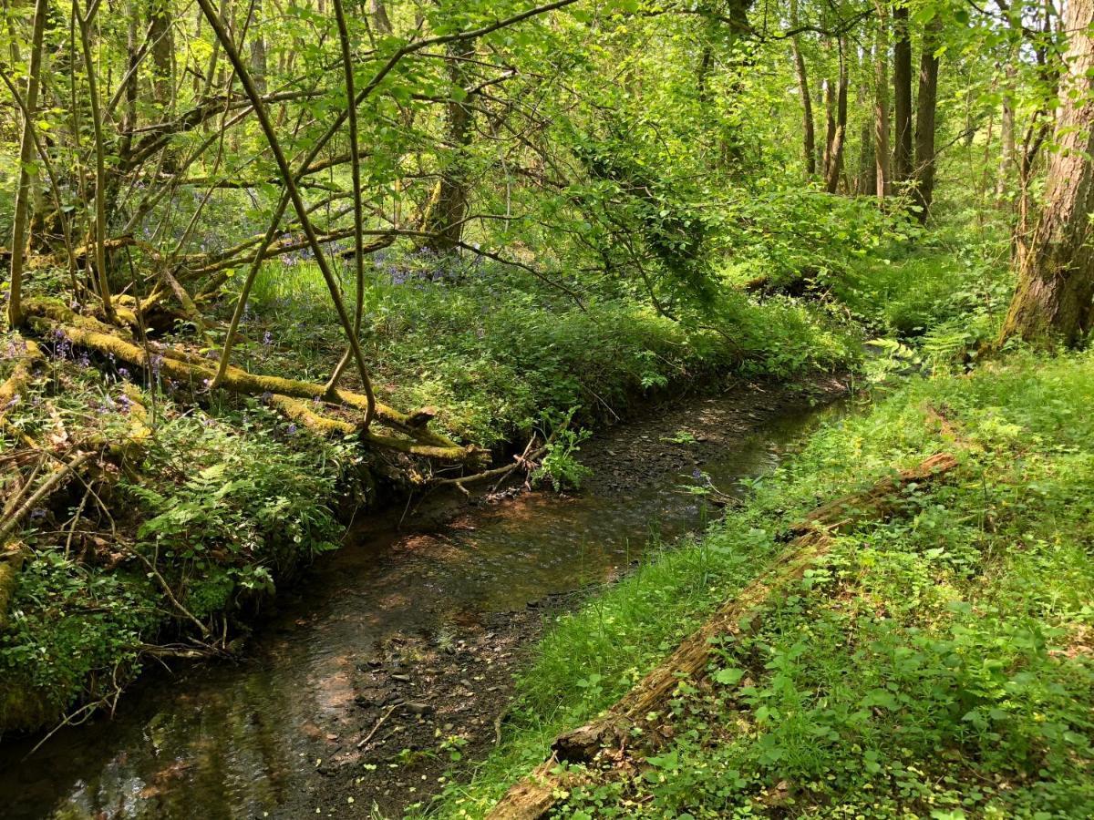 Willa Coed Y Marchog Woodland Retreat Hereford Zewnętrze zdjęcie