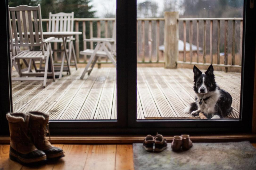 Willa Coed Y Marchog Woodland Retreat Hereford Zewnętrze zdjęcie