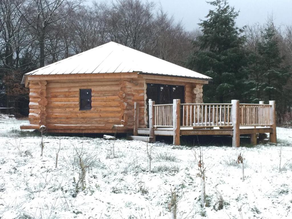 Willa Coed Y Marchog Woodland Retreat Hereford Zewnętrze zdjęcie